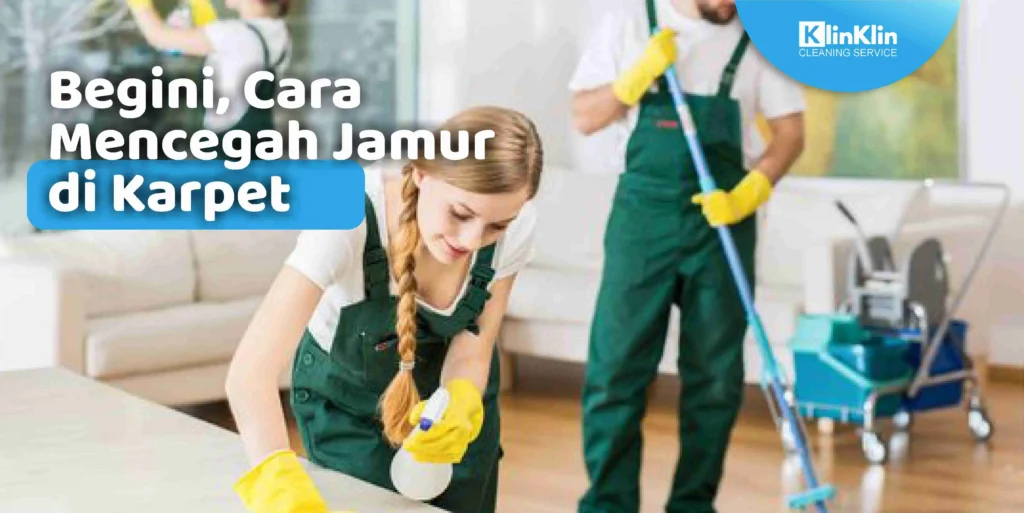 Cara Mencegah Jamur di Karpet