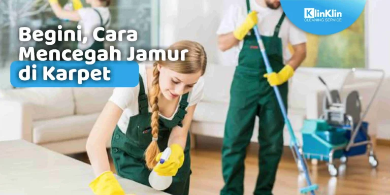 Cara Mencegah Jamur di Karpet