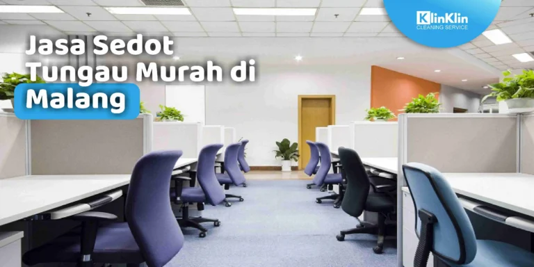 Jasa Sedot Tungau Murah