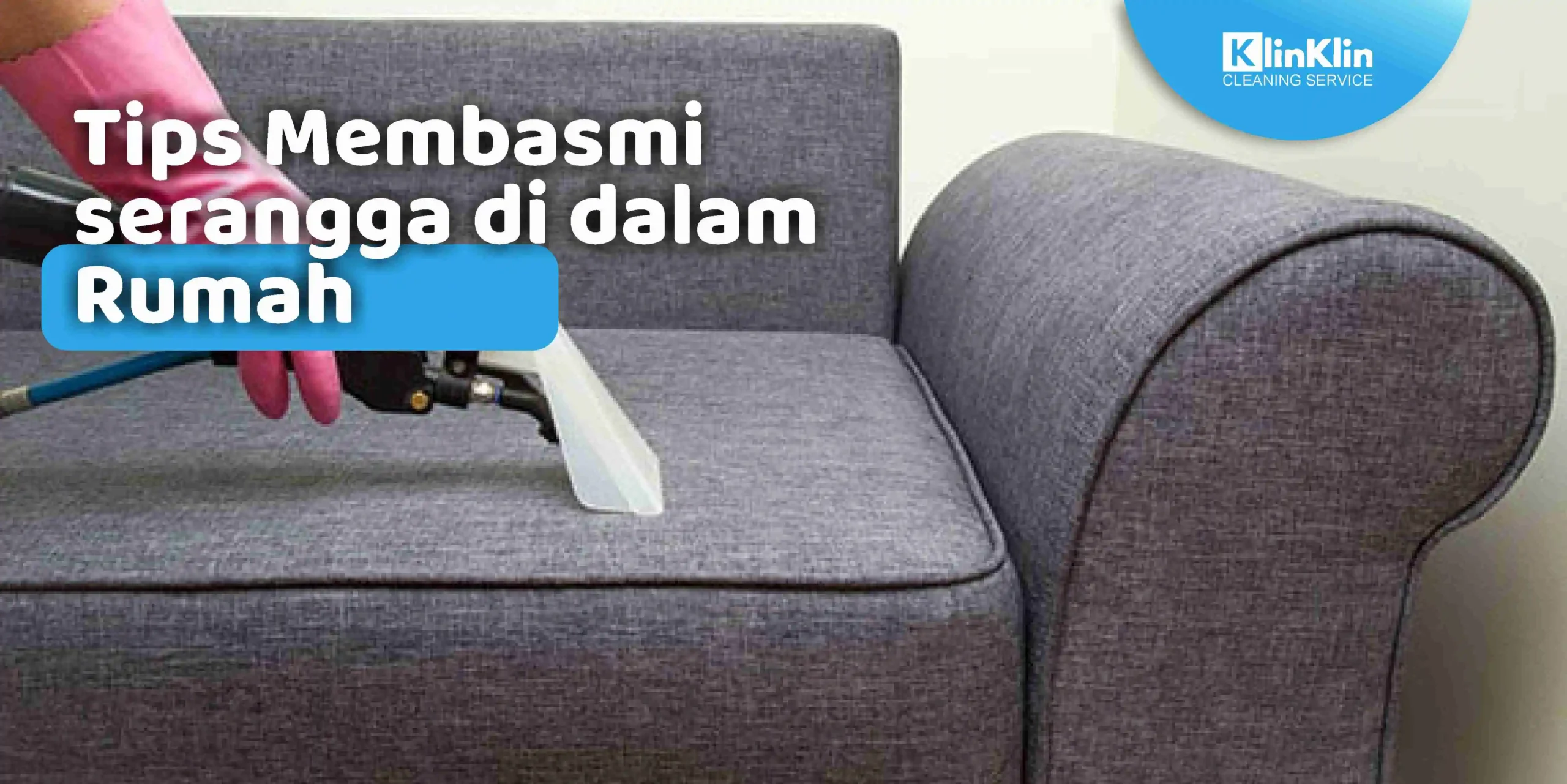 Tips Membasmi Serangga di Dalam Rumah