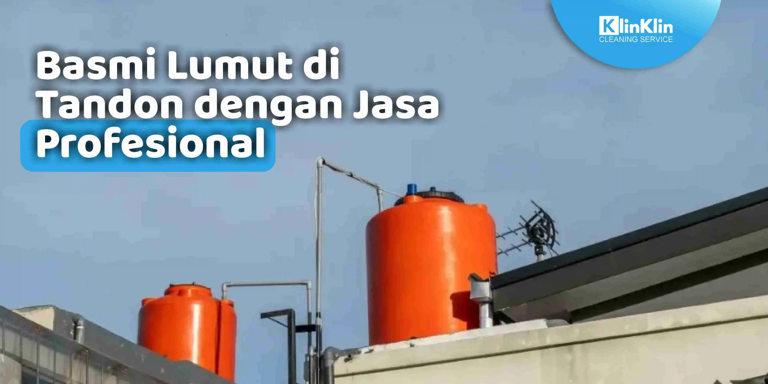 Basmi Lumut di Tandon dengan Jasa Profesional