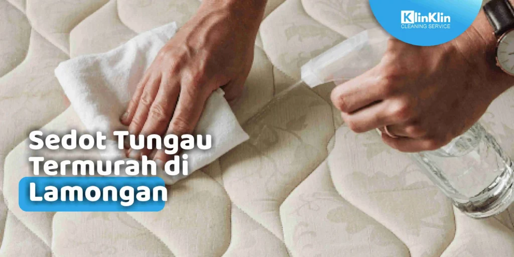 Sedot Tungau Termurah