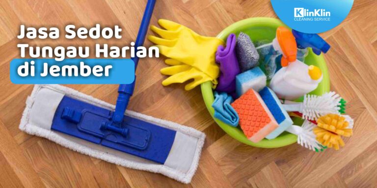 Jasa Sedot Tungau Harian di Jember