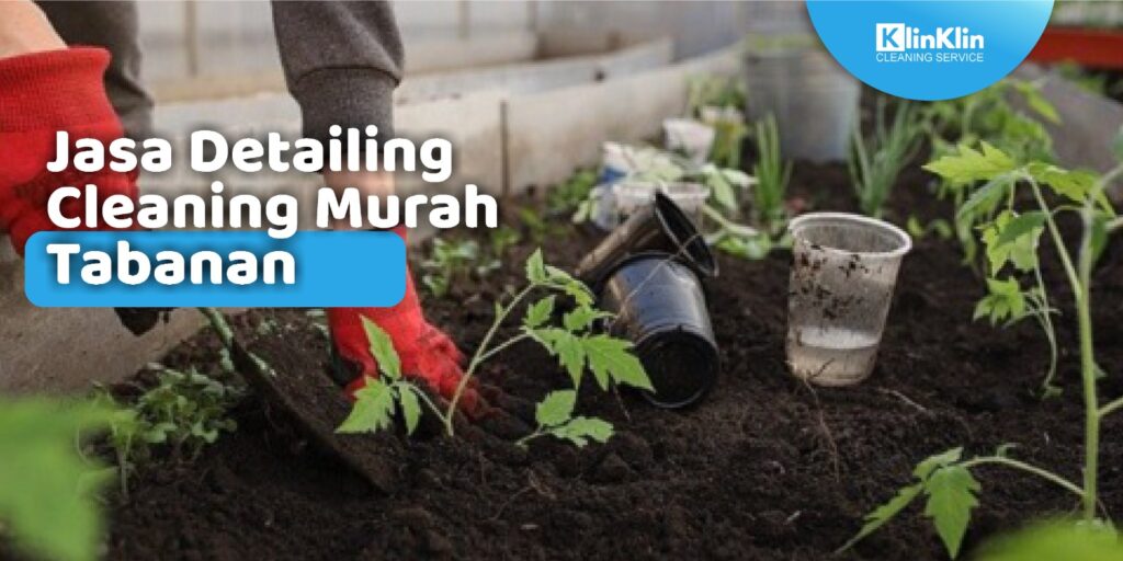 Jasa Detailing Cleaning Murah Tabanan