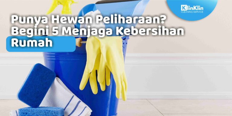 Punya Hewan Peliharaan? Begini 5 Menjaga Kebersihan Rumah