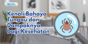 Bahaya Tungau