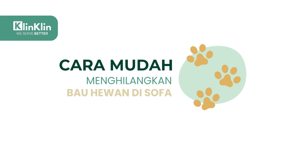 Cover artikel judul "Cara Mudah Menghilangkan Bau Hewan di Sofa"
