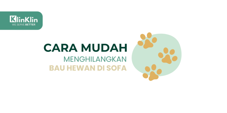Cover artikel judul "Cara Mudah Menghilangkan Bau Hewan di Sofa"
