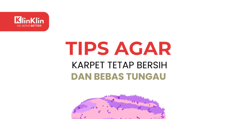 Cover artikel judul "Tips Agar Karpet Tetap Bersih dan Bebas Tungau"