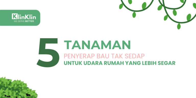 Cover artikel judul "5 Tanaman Penyerap Bau Tak Sedap untuk Udara Rumah yang Lebih Segar"