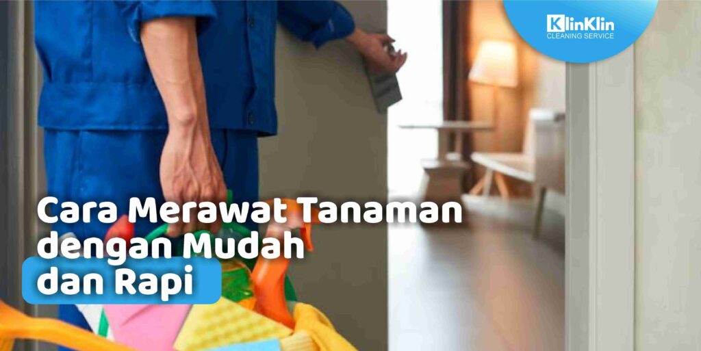 Cara Merawat Tanaman dengan Mudah dan Rapi