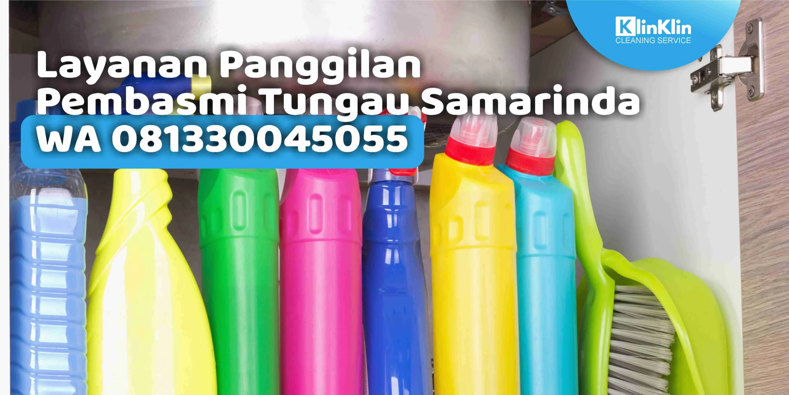 Layanan Panggilan Pembasmi Tungau Samarinda WA 081330045055