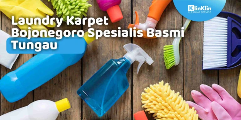 Laundry Karpet Bojonegoro Spesialis Basmi Tungau