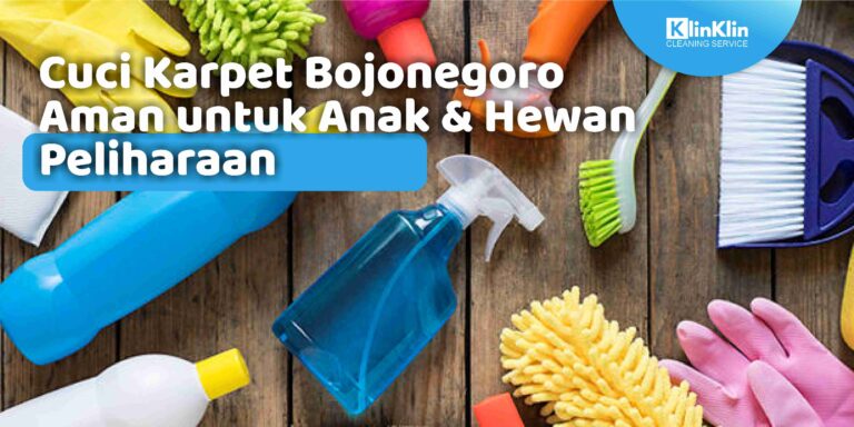 Cuci Karpet Bojonegoro Aman untuk Anak & Hewan Peliharaan