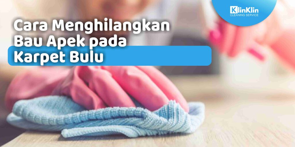 Cara Menghilangkan Bau Apek pada Karpet Bulu