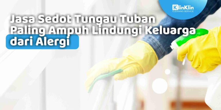 Jasa Sedot Tungau Tuban Paling Ampuh Lindungi Keluarga dari Alergi